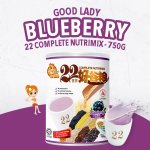 22 Complete Nutrimix (Blueberry) - 750g