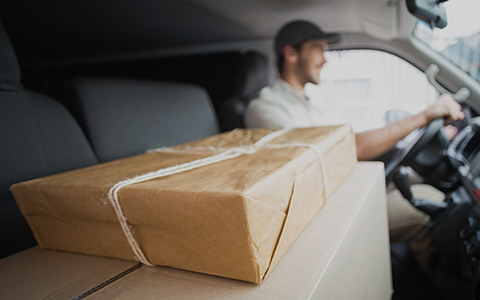 Free Shipping